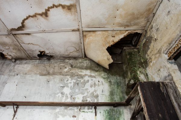 Water Damage Service in Foley