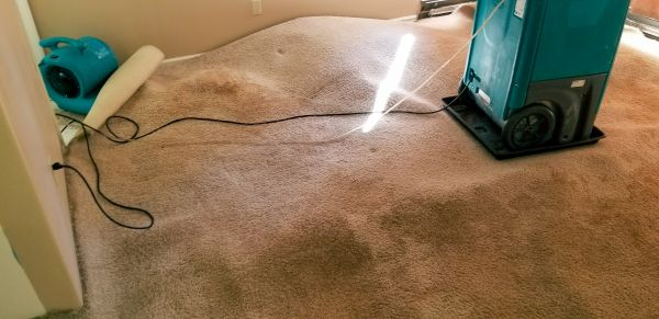 Flood Damage Cleanup in Foley