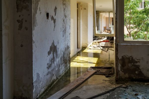 Water Removal Service in Foley
