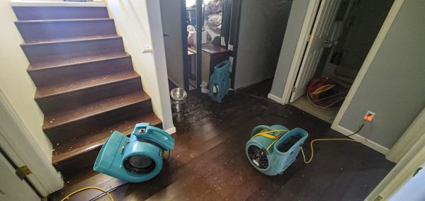 Water Damage Remediation in Foley
