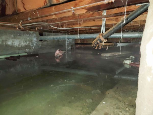 Crawl Space Drying in Foley
